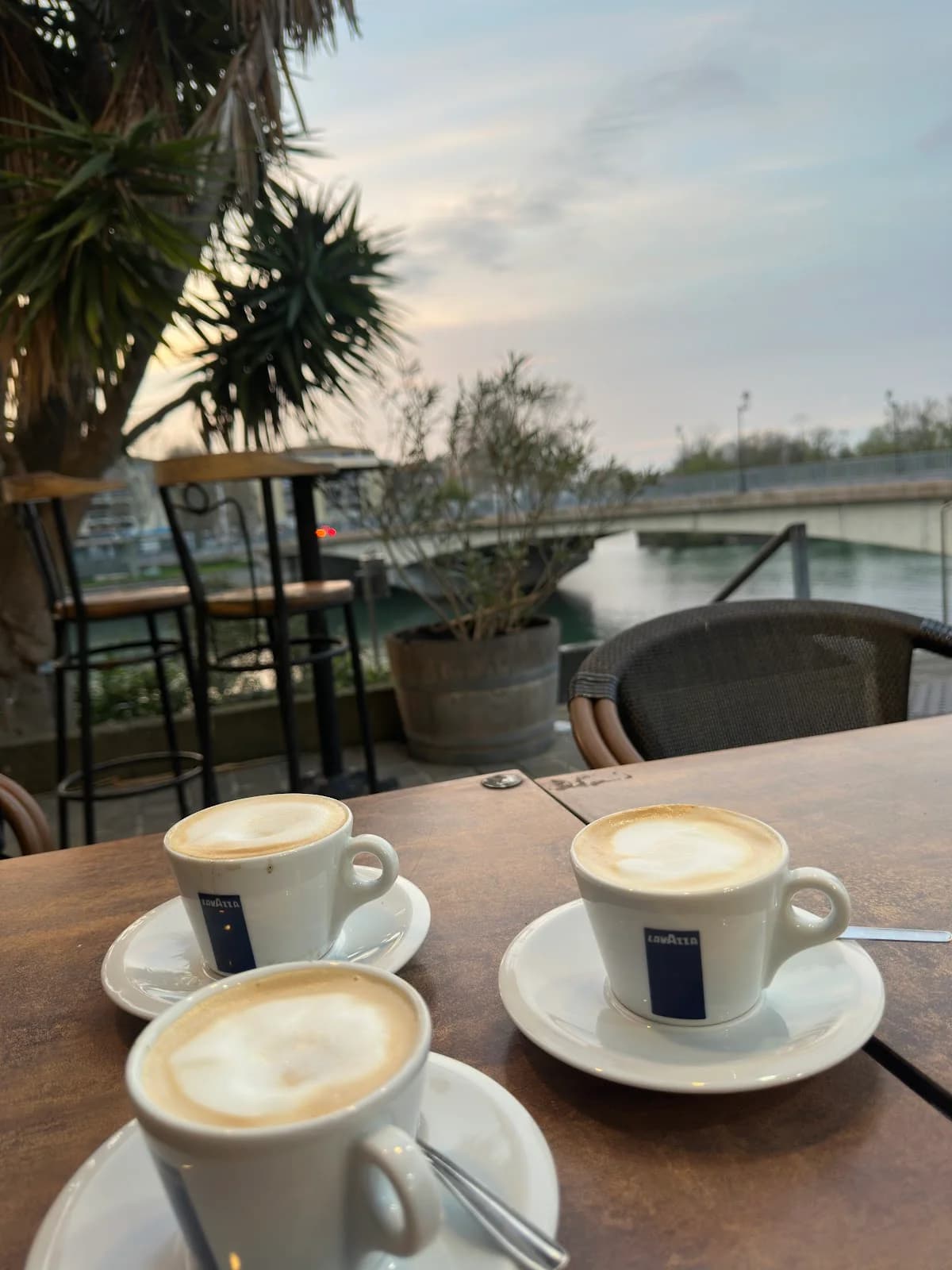 Restaurant La Galiote — Agde — Cap d'Agde Méditerranée