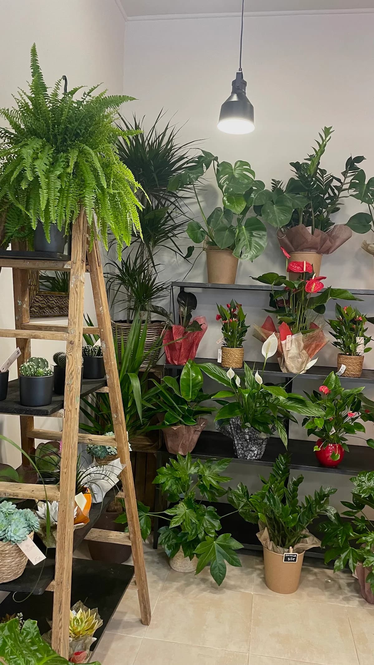 Côté Fleurs, Artisan Fleuriste Agde — Agde — Cap d'Agde Méditerranée