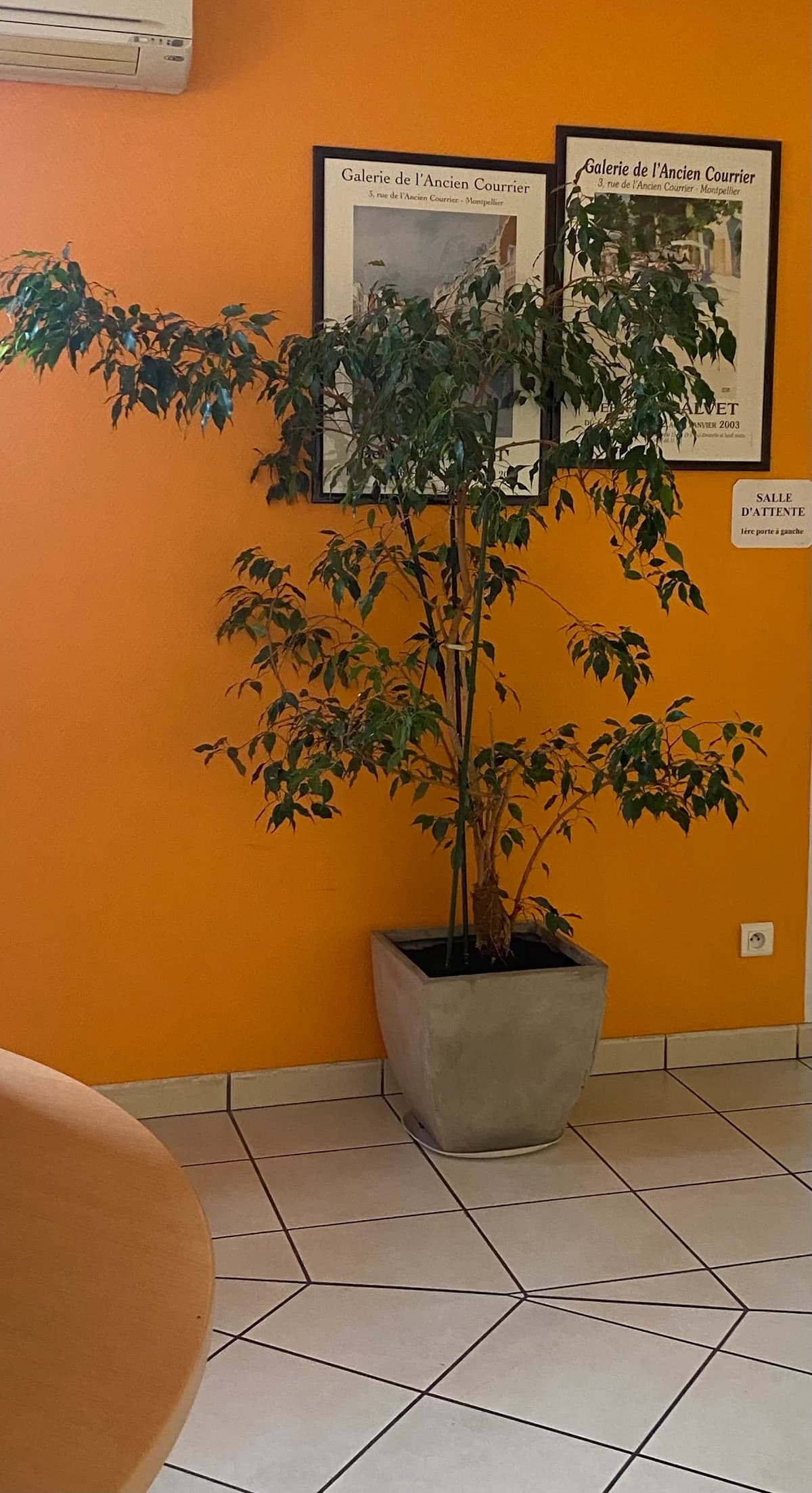 Dr DODERO Cardiologie — Agde — Cap d'Agde Méditerranée
