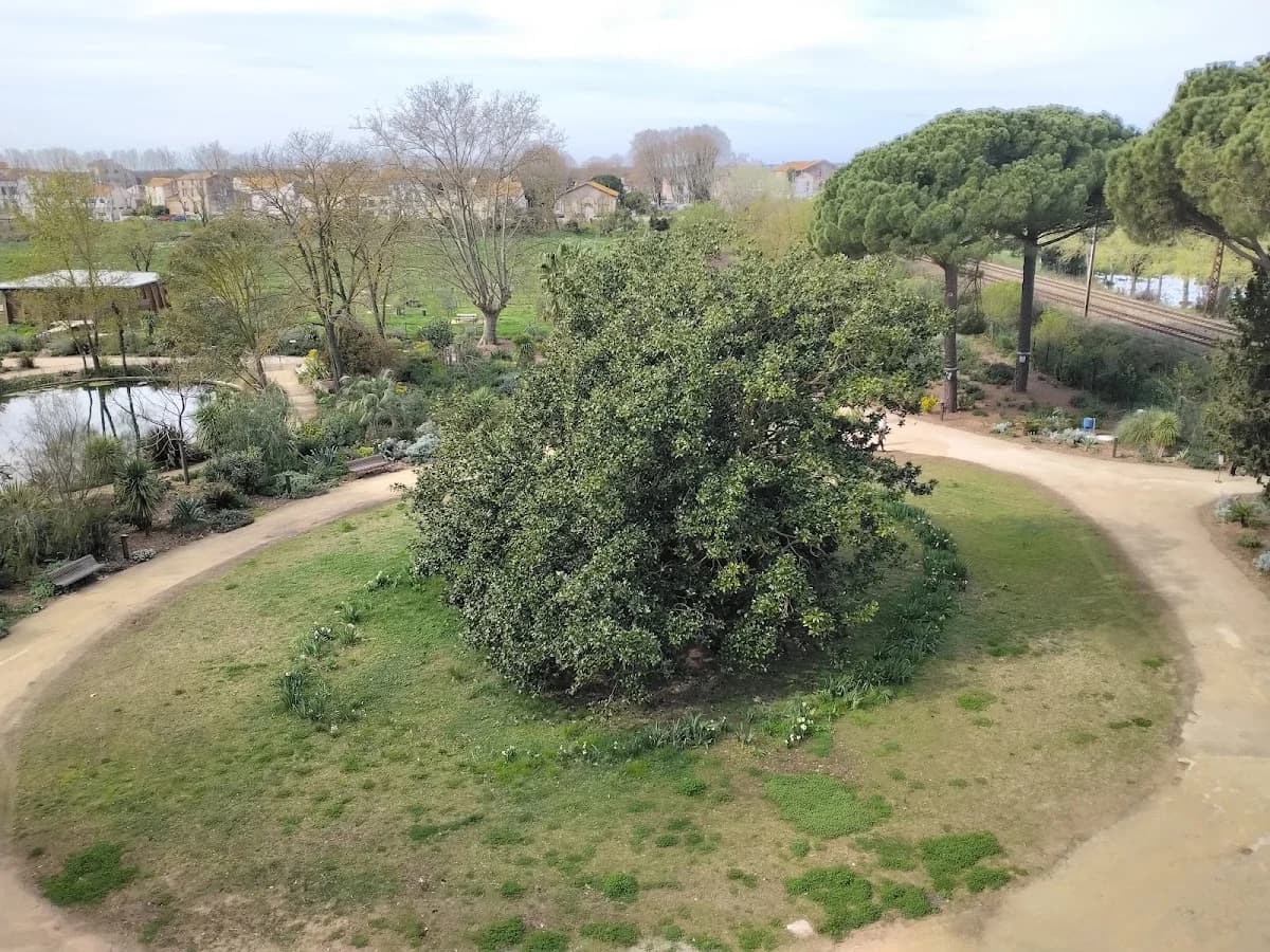 Agde "la Pansière" — Agde — Cap d'Agde Méditerranée