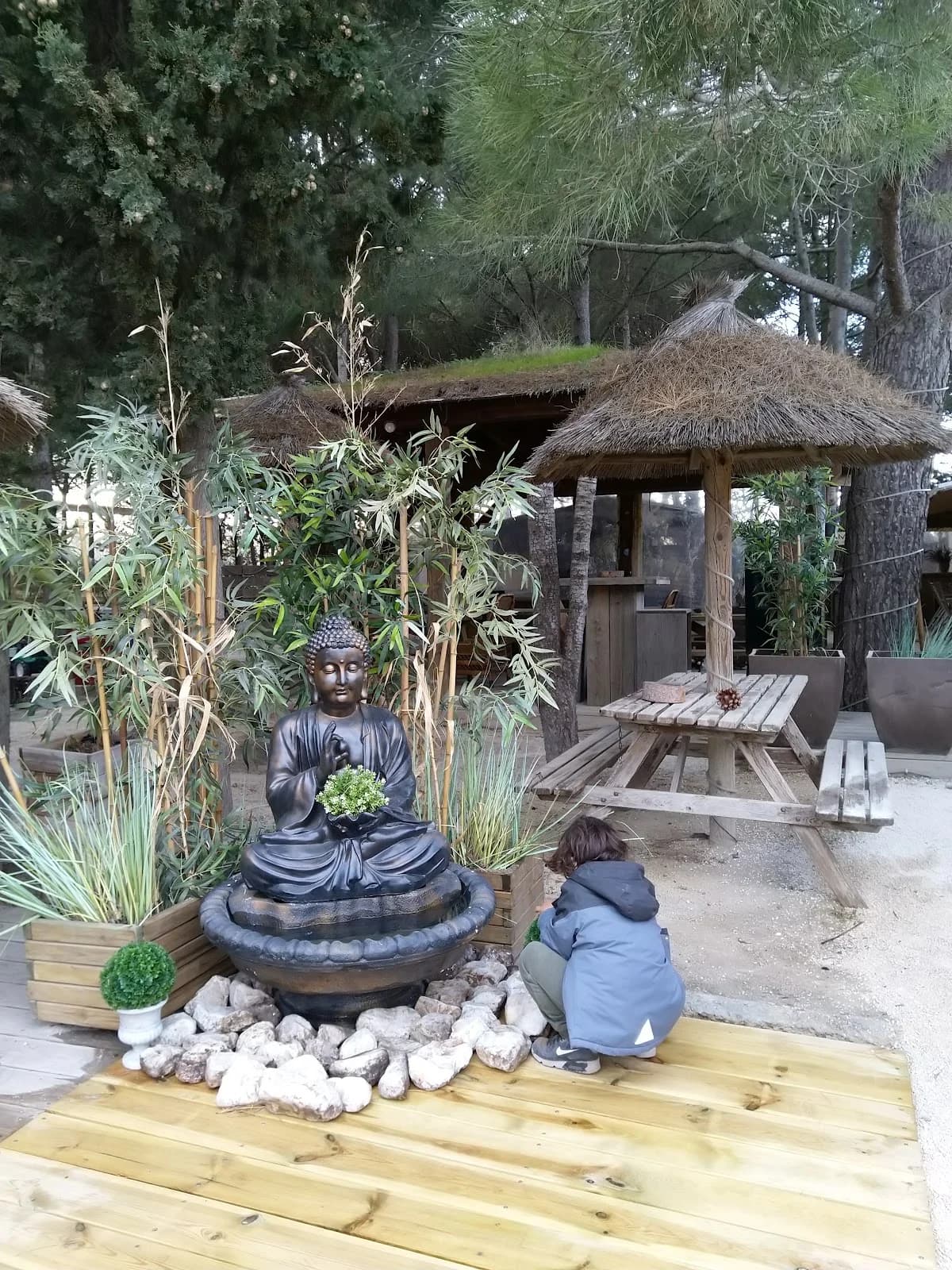Le Camping Les Pins — Le Cap d'Agde — Cap d'Agde Méditerranée