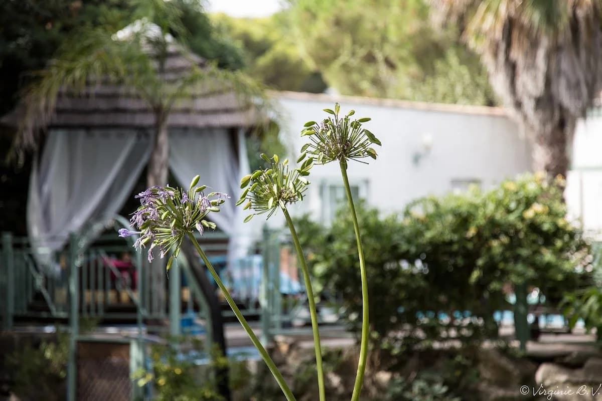 B&B Villa Lantana — Le Cap D'Agde — Cap d'Agde Méditerranée