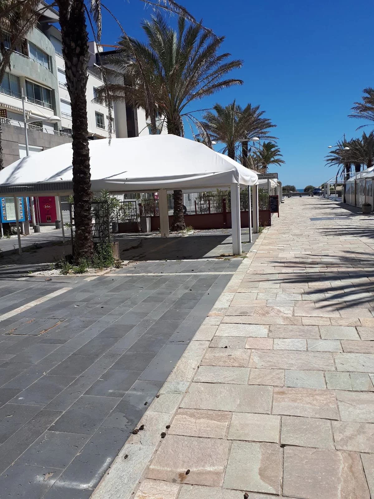 freebeach — Agde — Cap d'Agde Méditerranée