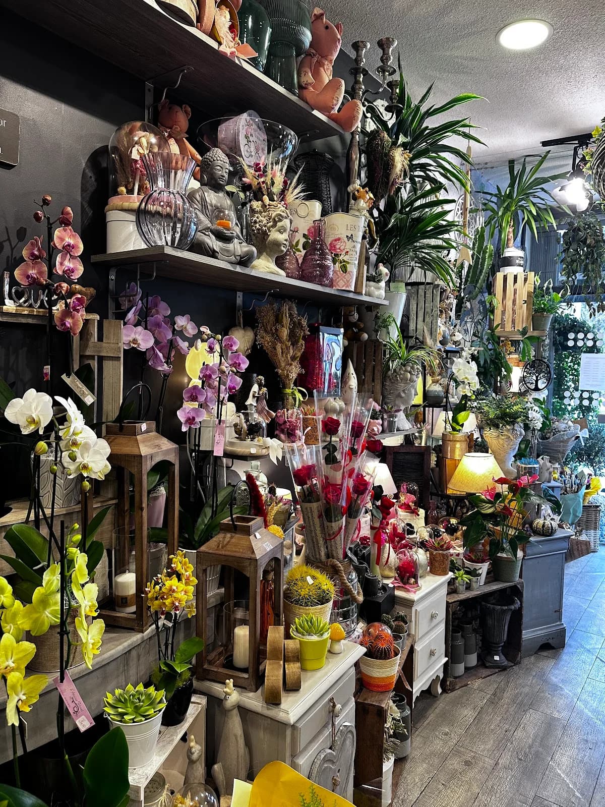 L'Atelier Floral — Le Cap d'Agde — Cap d'Agde Méditerranée