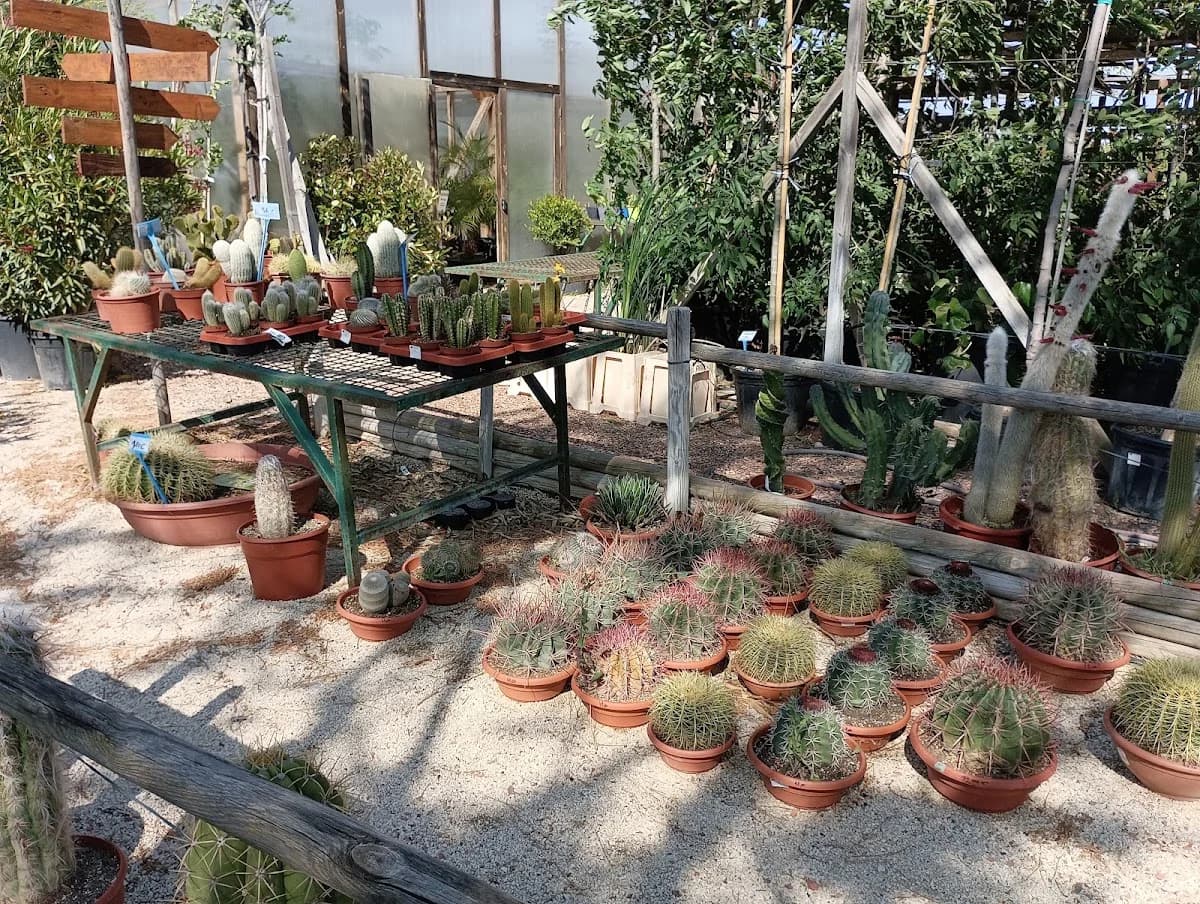 Jardinerie Fleuriland — Agde — Cap d'Agde Méditerranée
