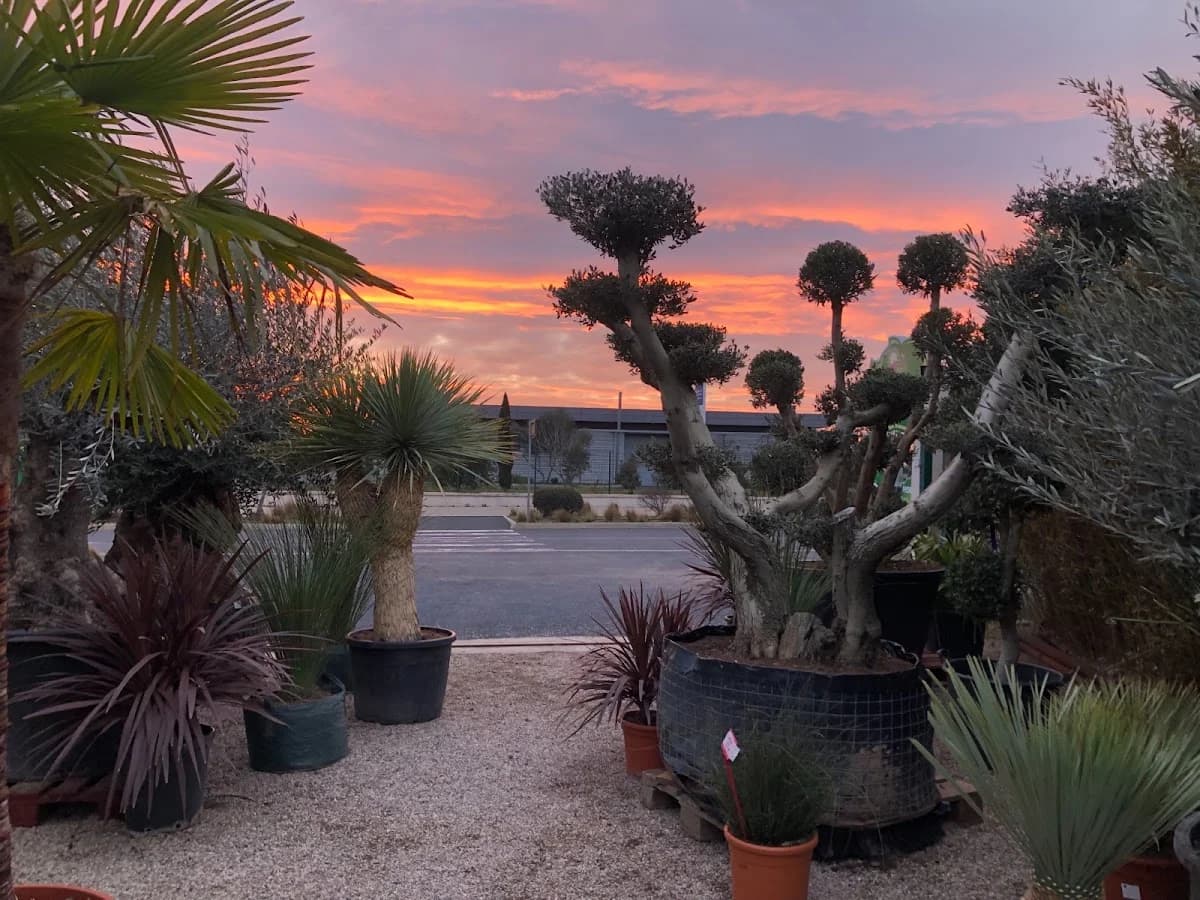 Jardinerie Fleuriland — Agde — Cap d'Agde Méditerranée