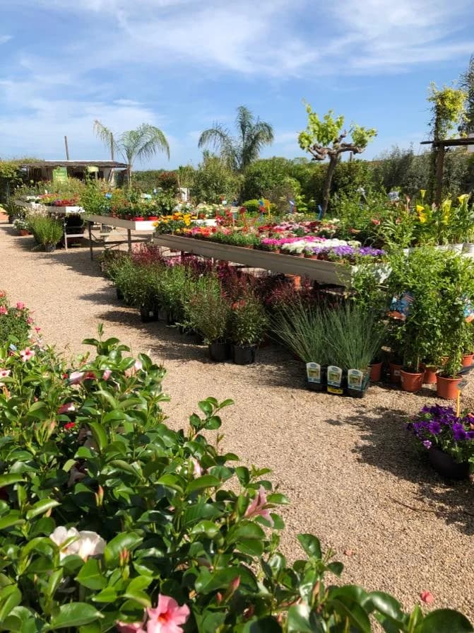 Jardinerie Fleuriland — Agde — Cap d'Agde Méditerranée