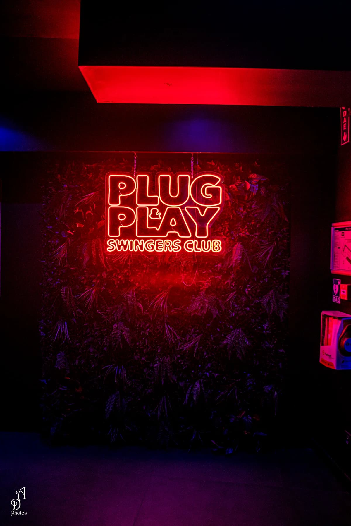 Plug&Play — Agde — Cap d'Agde Méditerranée