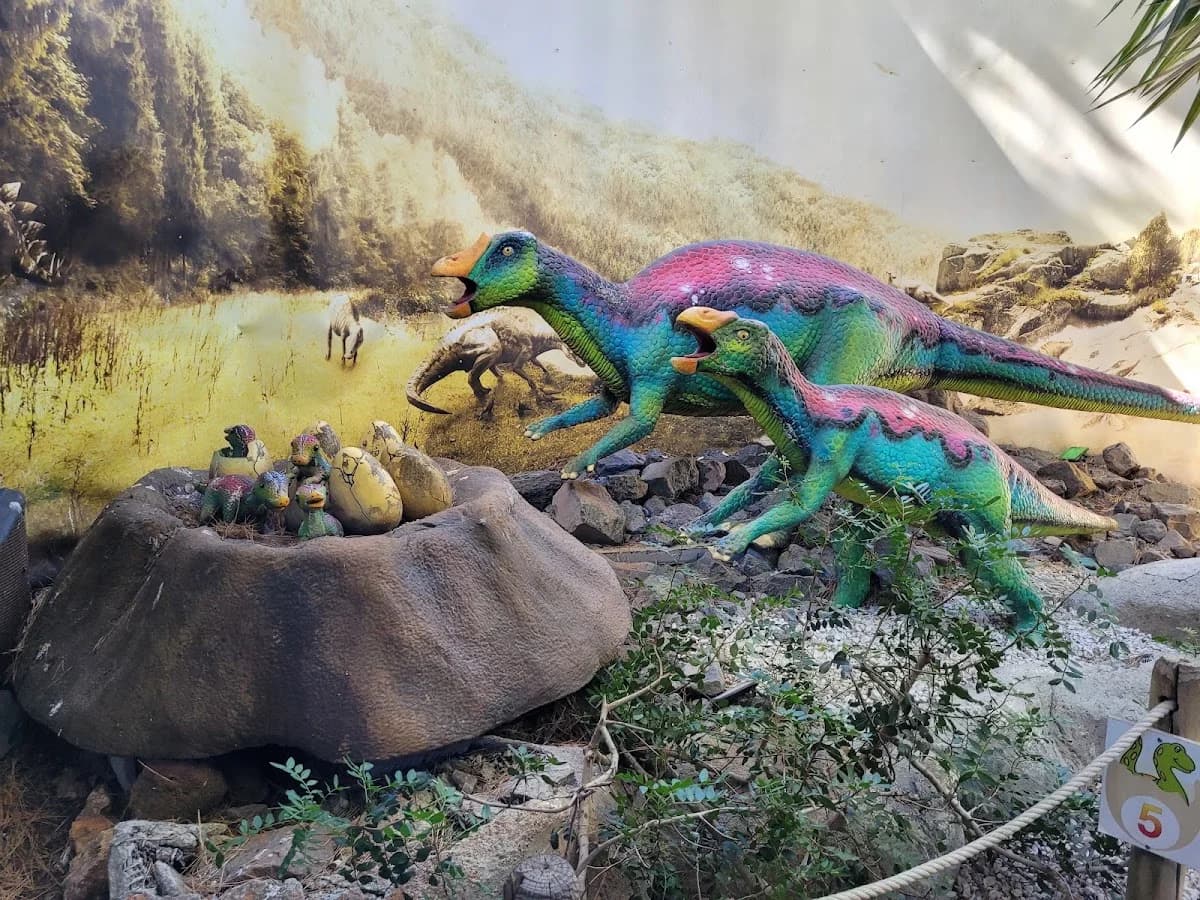 Dino World Cap d'Agde — Le Cap d'Agde — Cap d'Agde Méditerranée