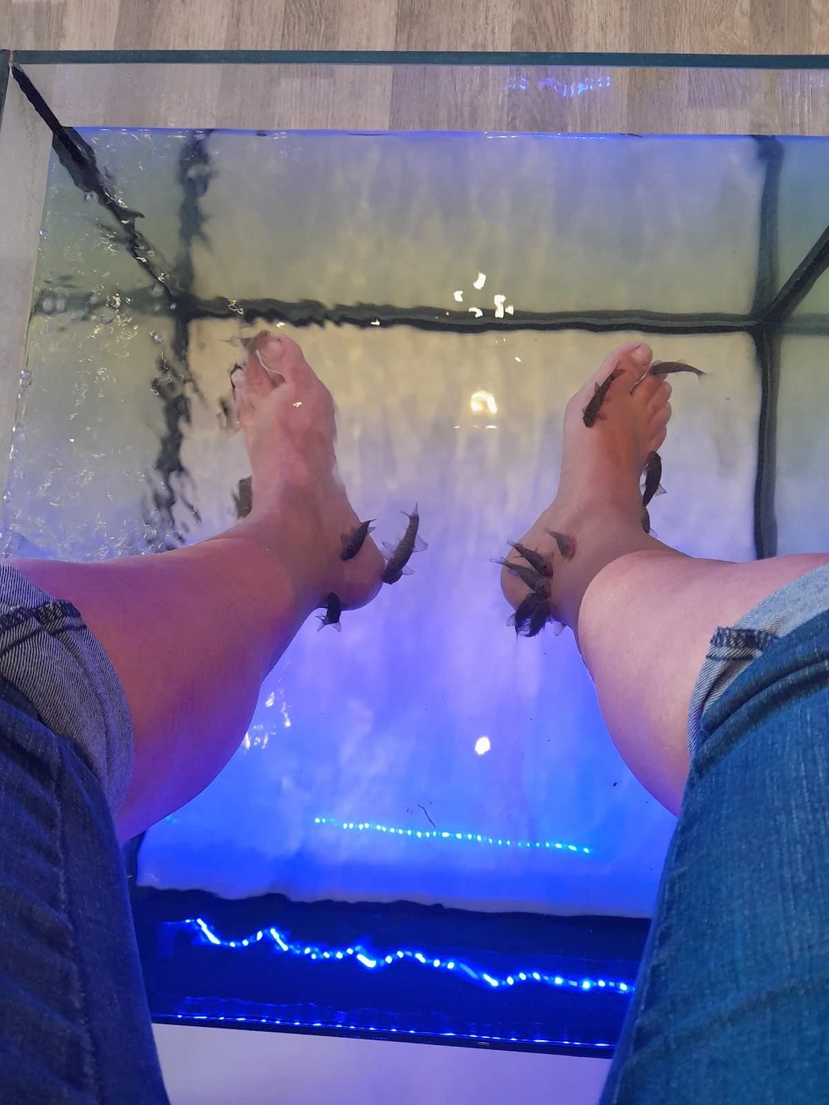 Fish Spa — Agde — Cap d'Agde Méditerranée