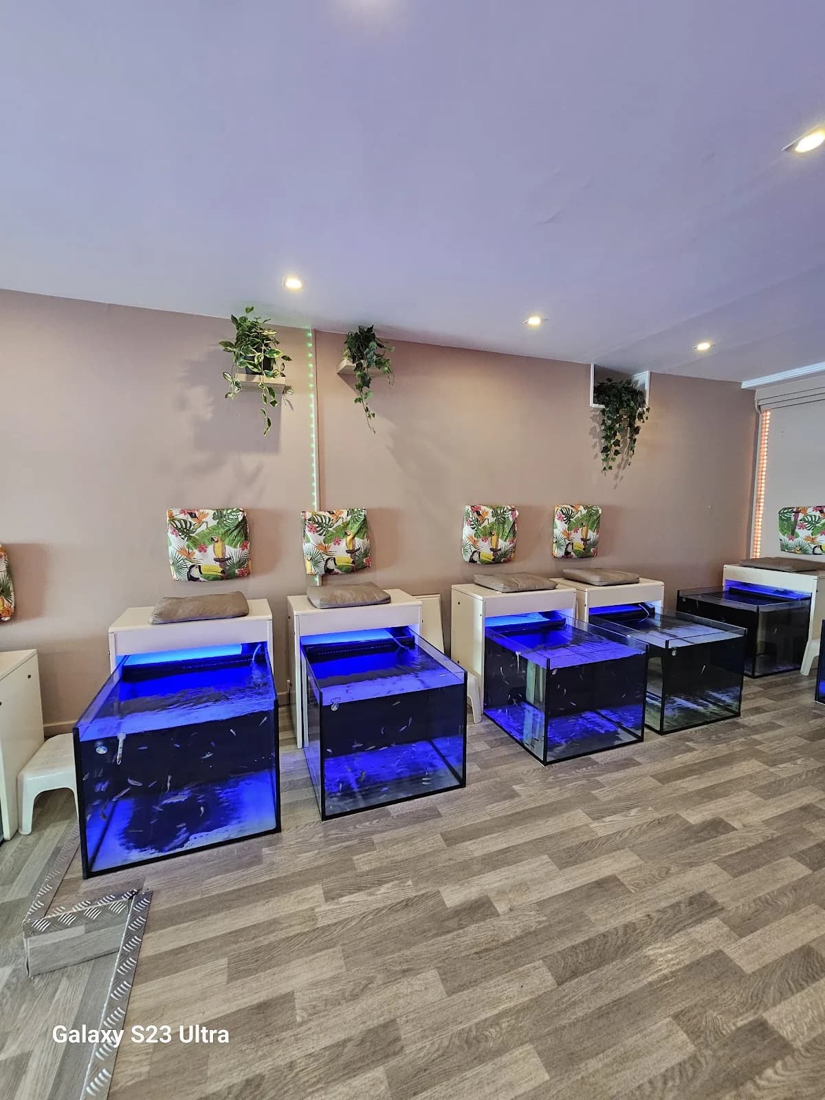 Fish Spa — Agde — Cap d'Agde Méditerranée