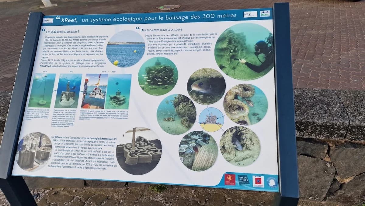 Maison de la mer - Aire Marine Protégée de la Côte Agathoise — Cap d'Agde — Cap d'Agde Méditerranée
