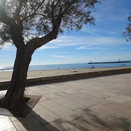 Velicio Restaurant Grau d'Agde — Agde — Cap d'Agde Méditerranée