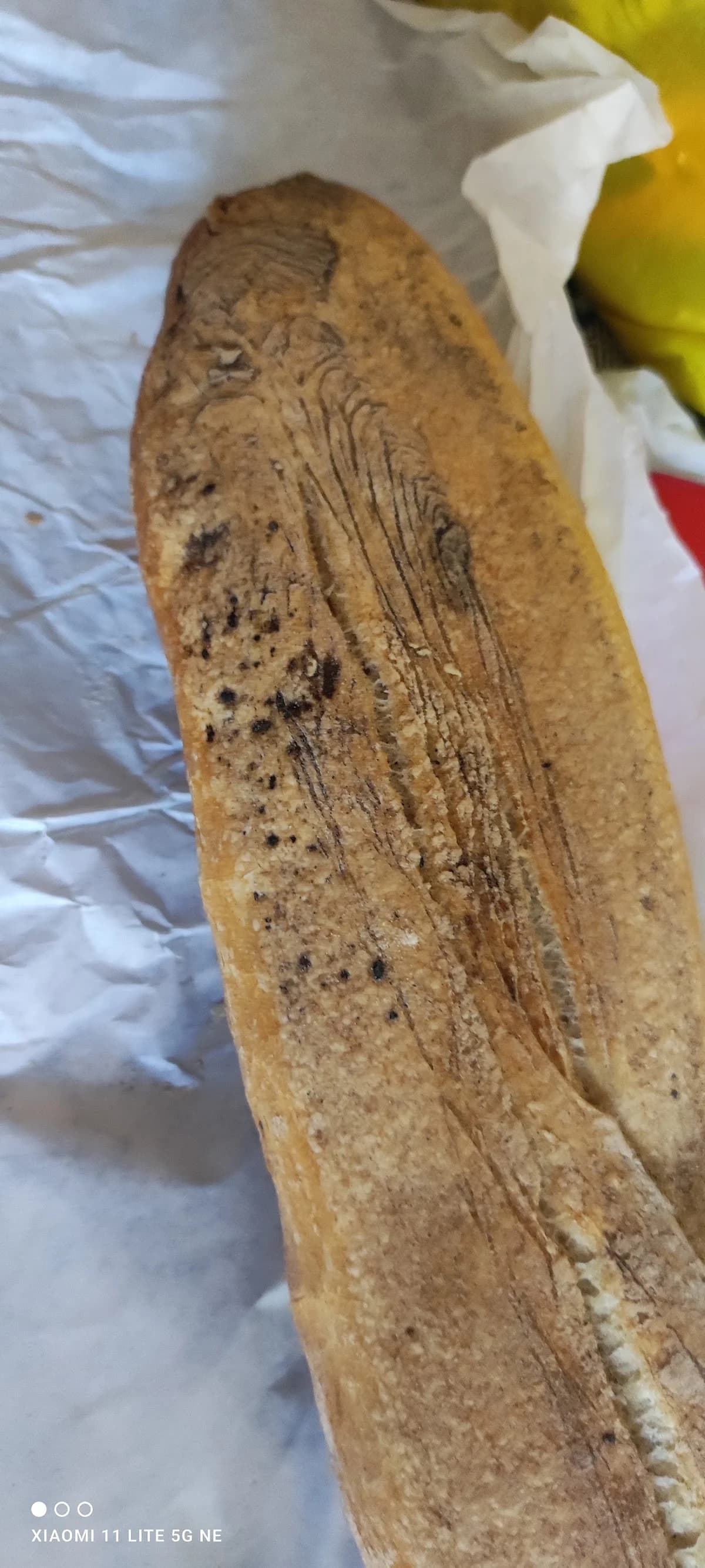 O delis d'anais — Agde — Cap d'Agde Méditerranée