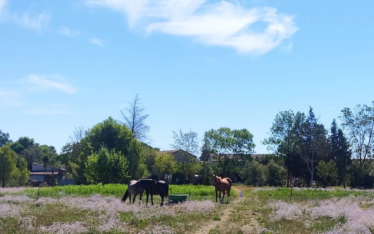 Résidence Le Clôt Biau — Agde — Cap d'Agde Méditerranée