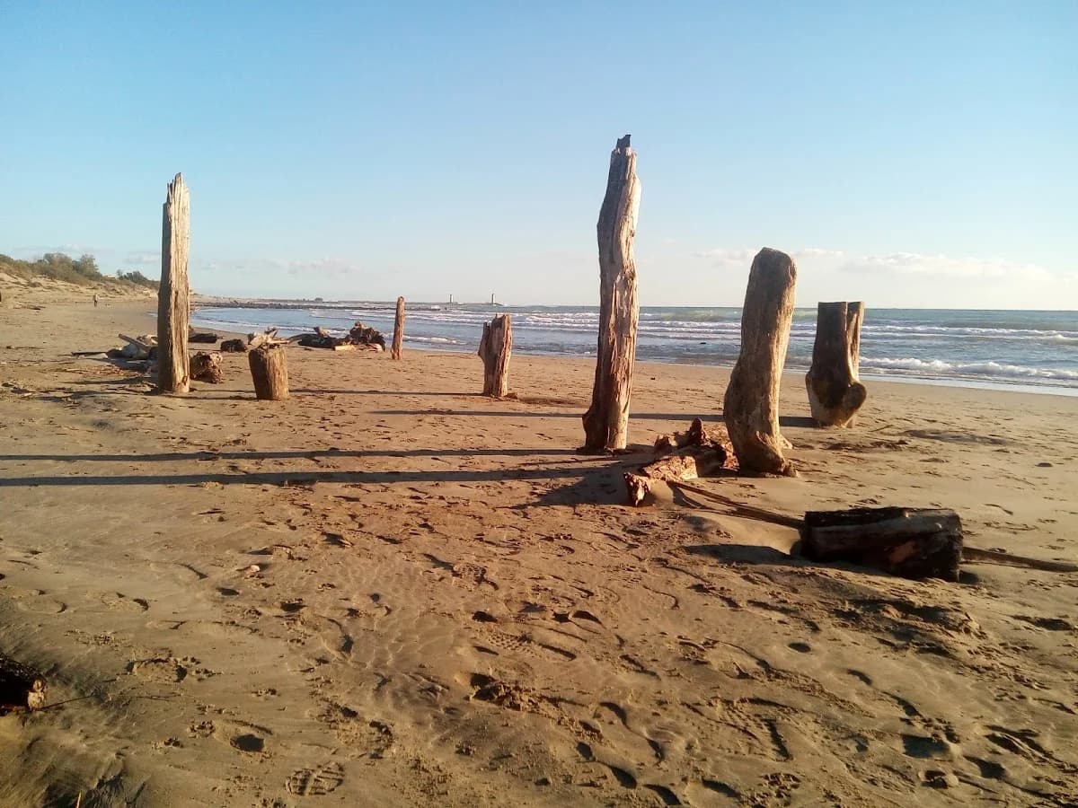 ZEBU -Dorf Südfrankreich — Agde — Cap d'Agde Méditerranée