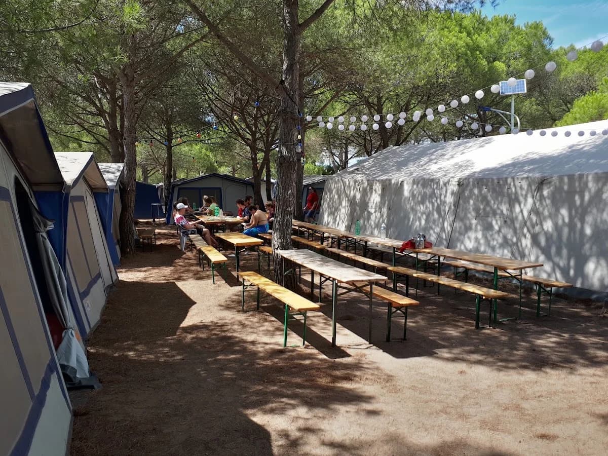 ZEBU -Dorf Südfrankreich — Agde — Cap d'Agde Méditerranée
