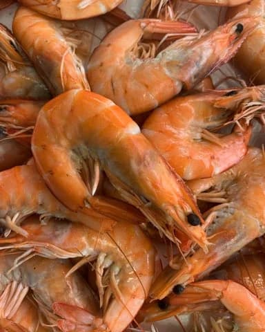 Chez Marlou & Setoy — Agde — Cap d'Agde Méditerranée