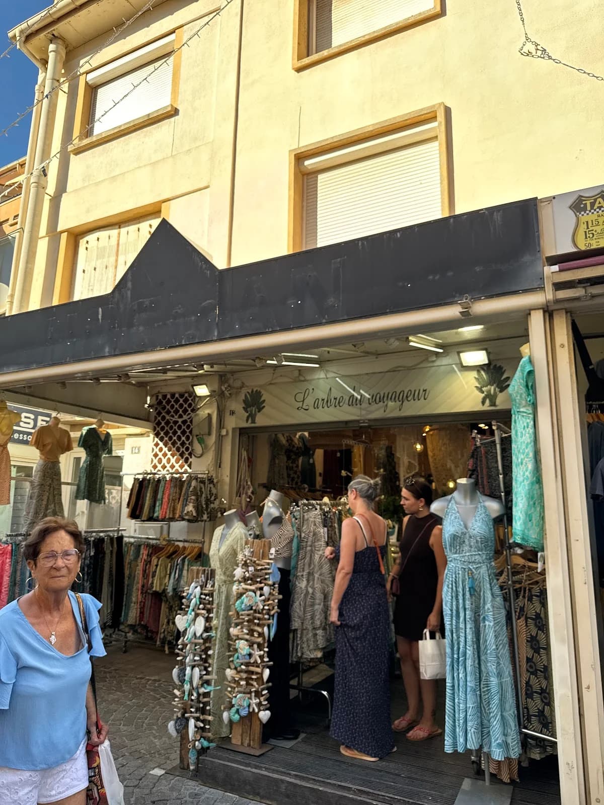 L'arbre du voyageur — Agde — Cap d'Agde Méditerranée