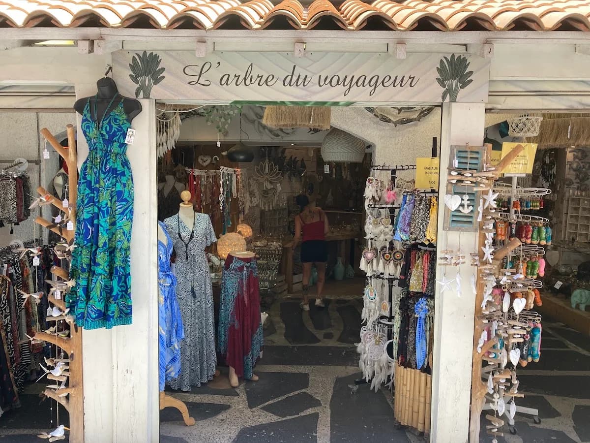 L'arbre du voyageur — Agde — Cap d'Agde Méditerranée