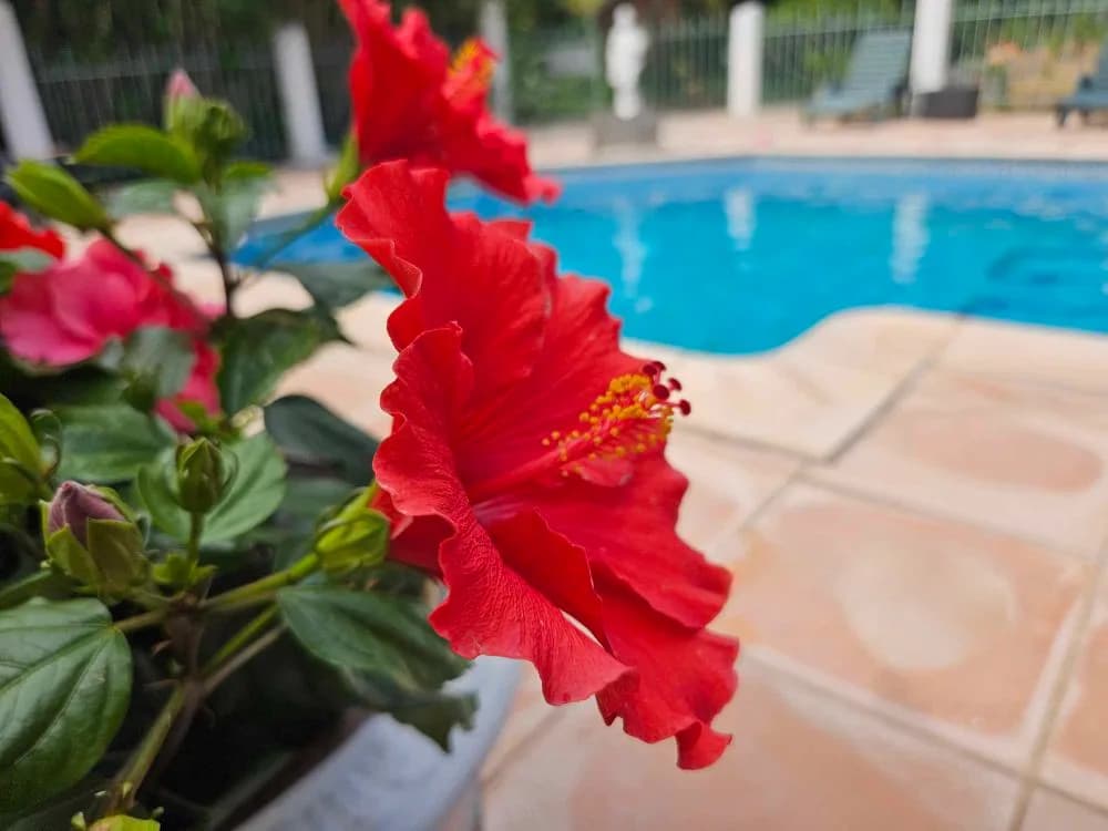 Les Jardins du Patriarche Hôtel — photo 2, Cap d'Agde