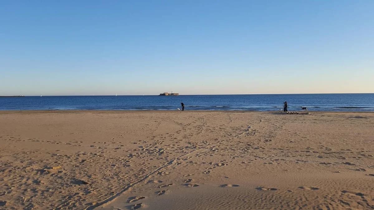 Agence Du Vieux Cap — Cap d'Agde (Le — Cap d'Agde Méditerranée
