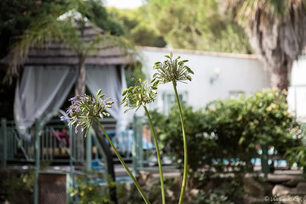 B&B Villa Lantana — Le Cap D'Agde — Cap d'Agde Méditerranée