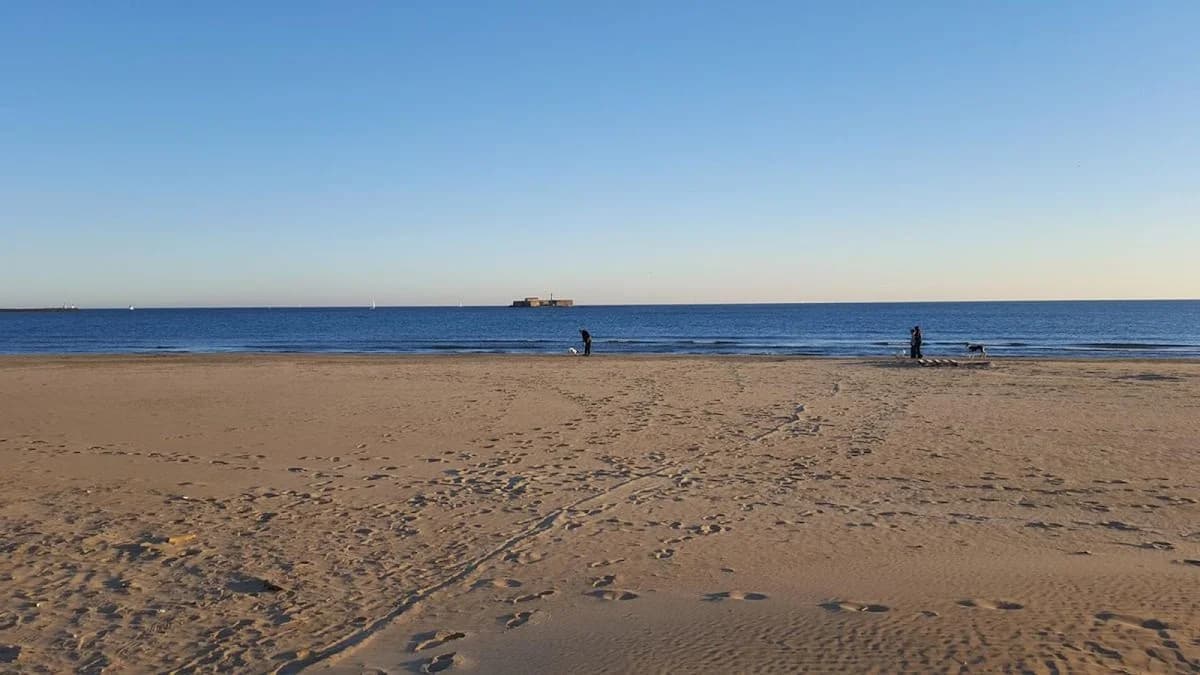 Agence Du Vieux Cap — Cap d'Agde (Le — Cap d'Agde Méditerranée