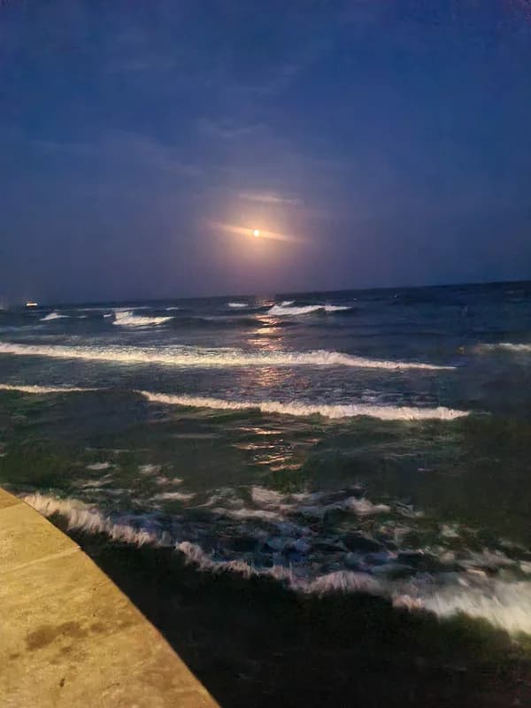 Agence Emeraude du Grau d'Agde — Agde — Cap d'Agde Méditerranée