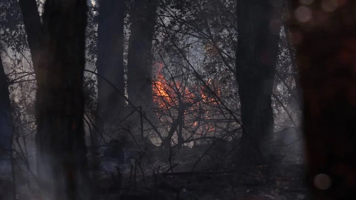 Hérault - Incendie à Carlencas : Un suspect placé en détention provisoire avant son procès #herault