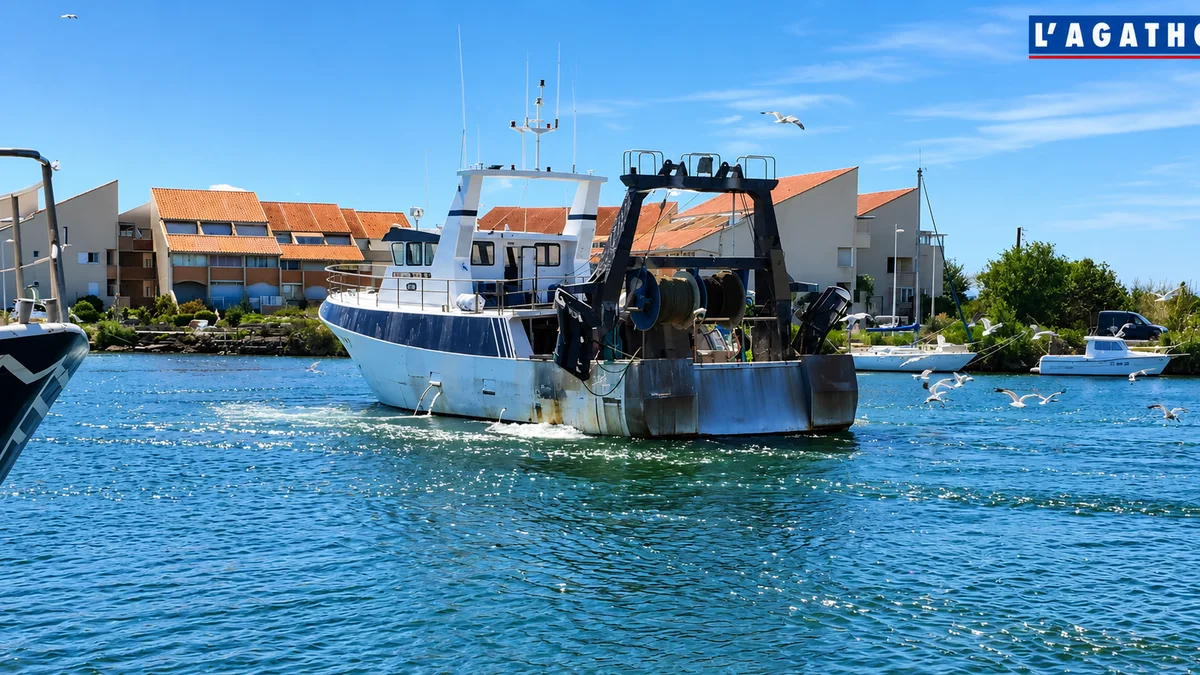 Grau d'Agde - Le port du Grau d'Agde en première ligne pour repêcher les déchets en mer #graudagde