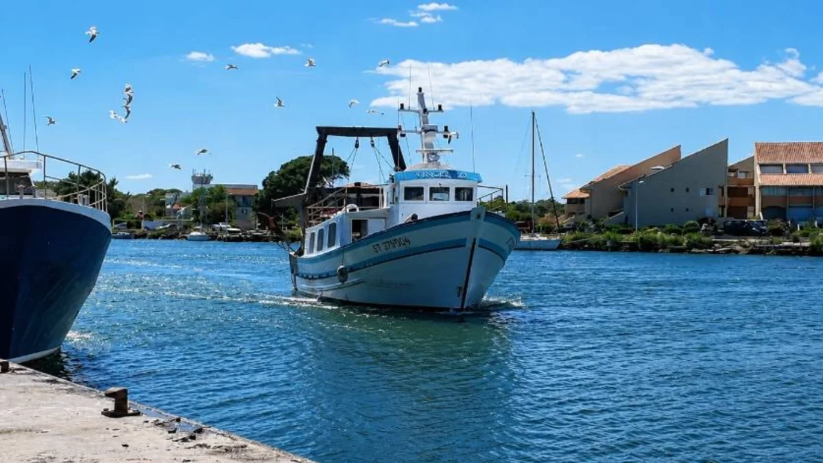 Hérault - Une aide de 18 millions d'euros pour soutenir les entreprises de pêche #herault