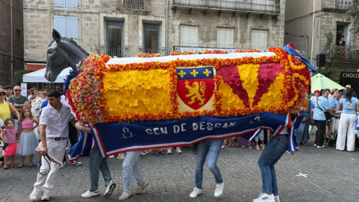 Bessan - L'âne totem a dansé lors de 800e anniversaire de son ami le poulain de Pézenas #bessan