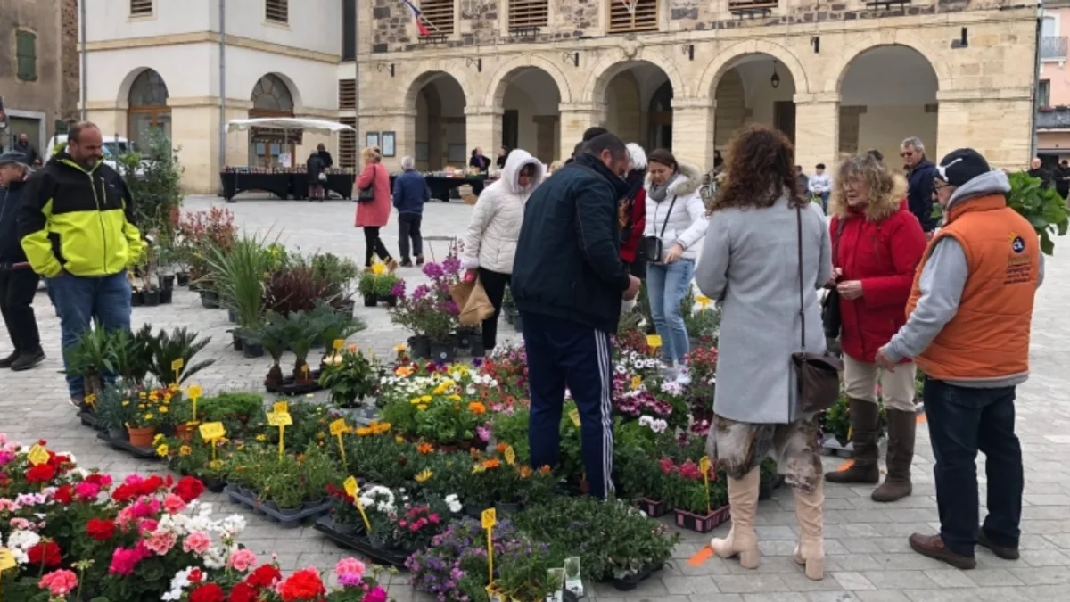 Bessan - Les candidatures sont ouvertes pour les prochaines Floralies bessanaises d'avril #bessan
